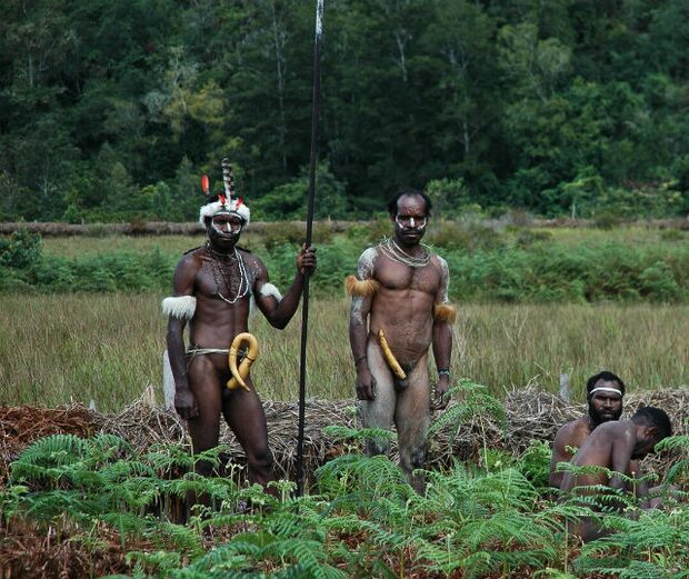 őslakosok megnagyobbodott tagokkal